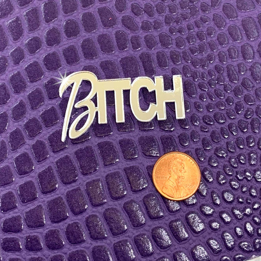 B*TCH WORD CAB in Shiny Silver Mirror - Laser Cut Acrylic