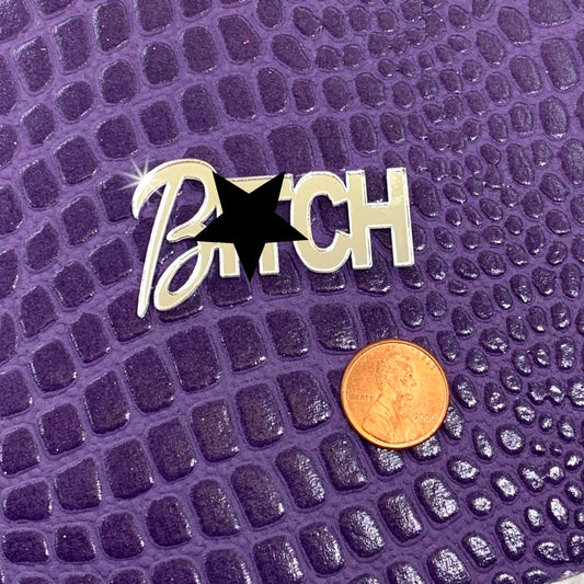 B*TCH WORD CAB in Shiny Silver Mirror - Laser Cut Acrylic